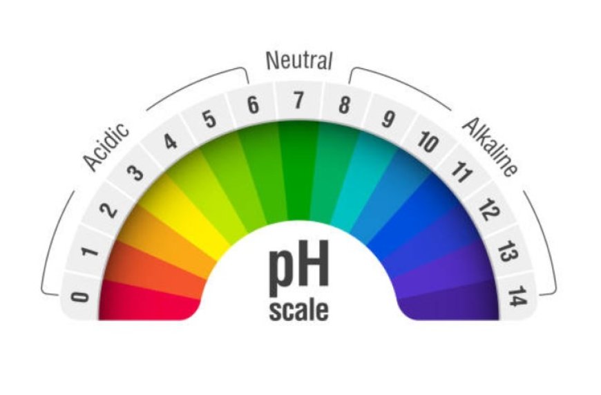 What is pH Level of Water and How to Change It?