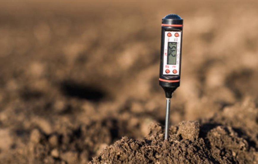 Soil pH: What It Is and Why It Matters