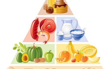 How to Make a Daily Diet: A Simple Guide