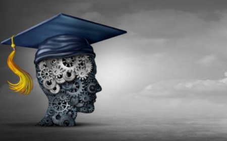 Top 5 In-Demand Study Courses in Canada in 2023