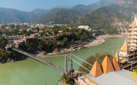 Top 5 Places to Go Bungee Jumping in India