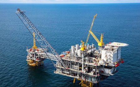 Crude Oil: What It Is and How It's Formed
