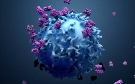 Immunity and sleep: A powerful partnership