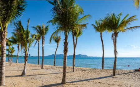 Pattaya City Beach: A guide to the most popular beach in Pattaya