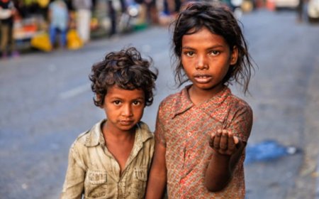 What Can Be Done to Reduce Poverty? A Comprehensive Guide