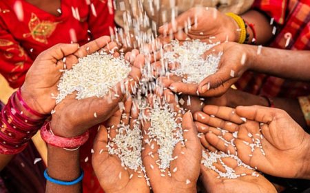 Extending a helping hand: Simple yet impactful ways to contribute to poverty reduction