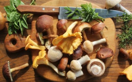 Mushrooms: A Nutritious Food with Many Health Benefits