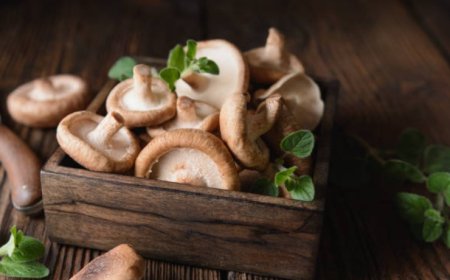 Top 5 Mushrooms for Your Health: Boost Immunity, Reduce Cancer Risk, and More