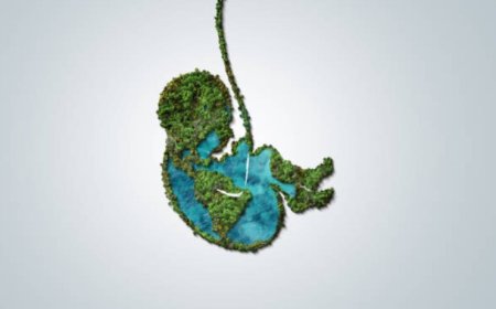 How Did Life Begin on Earth?