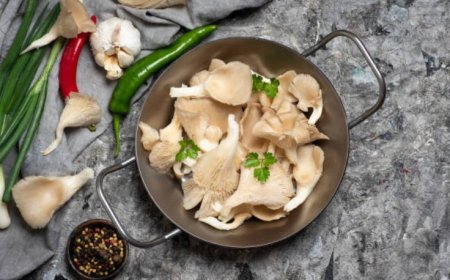 Top 5 Benefits of Oyster Mushrooms