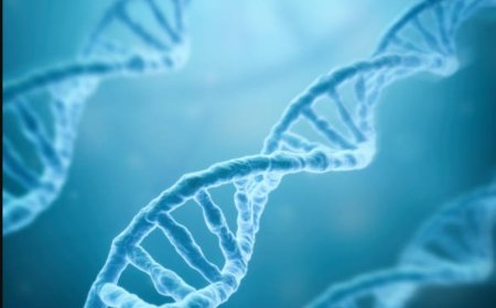 The ethical implications of gene editing: A complex issue with far-reaching consequences