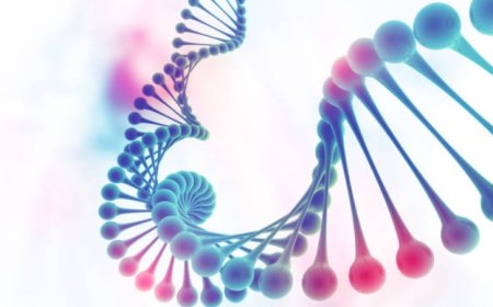 The Importance of DNA in Our Lives