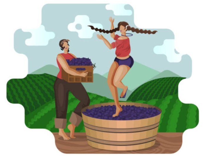 Stomp: A rhythmic revolution that ignites the soul