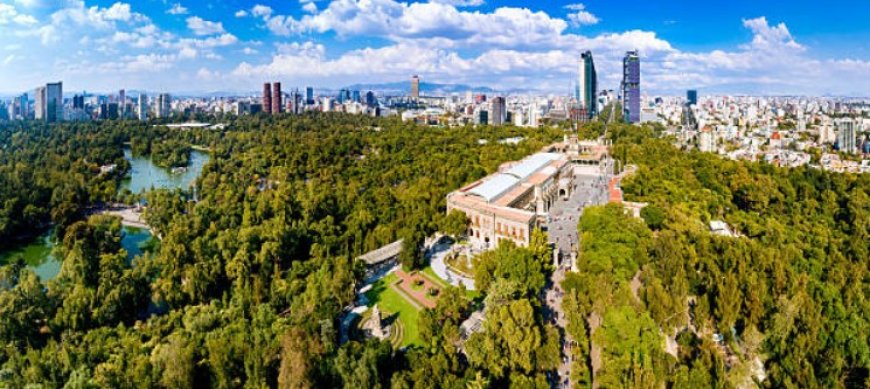 Top 5 Places to Visit in Mexico City