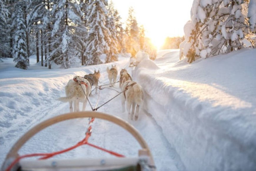 Lapland: A magical winter wonderland