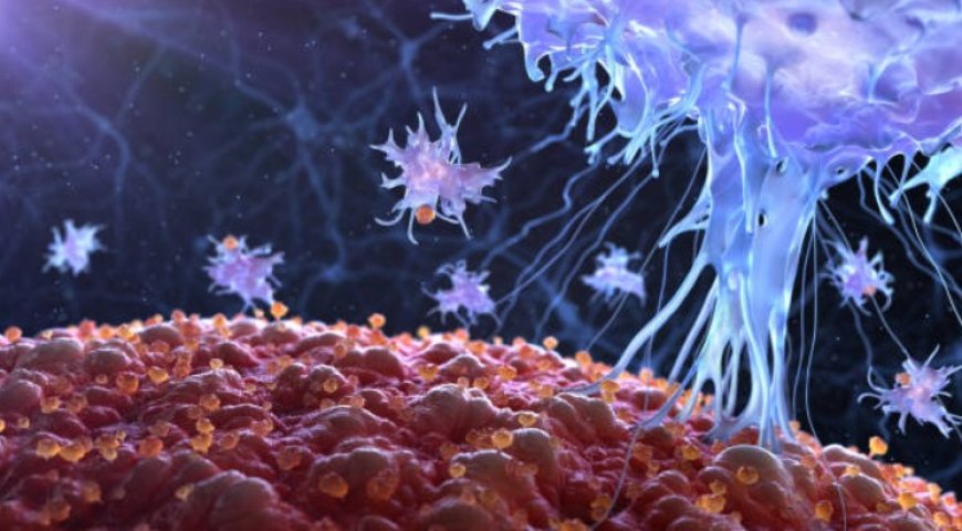 T cells: The essential immune cells you need to know about