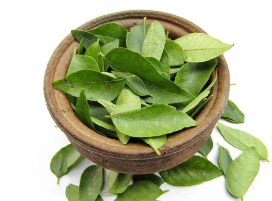 Curry leaves: A fragrant treasure trove of health benefits