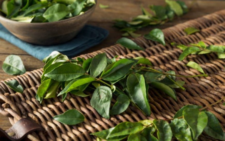 Curry leaves: A fragrant treasure trove of health benefits