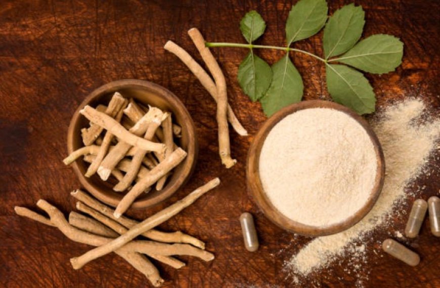 Ashwagandha: The Ancient Herb with Modern Health Benefits