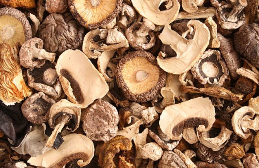 Mushrooms: A Nutritious Food with Many Health Benefits