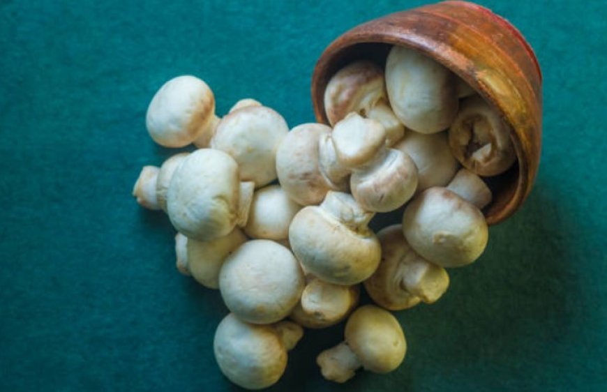 Mushrooms: A Nutritious Food with Many Health Benefits