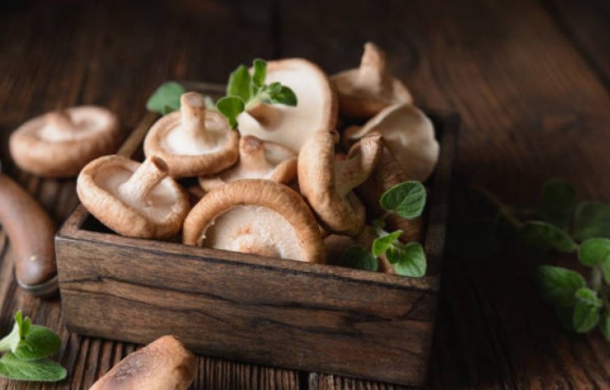 Top 5 Mushrooms for Your Health: Boost Immunity, Reduce Cancer Risk, and More