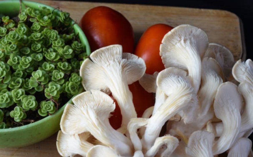 Top 5 Mushrooms for Your Health: Boost Immunity, Reduce Cancer Risk, and More