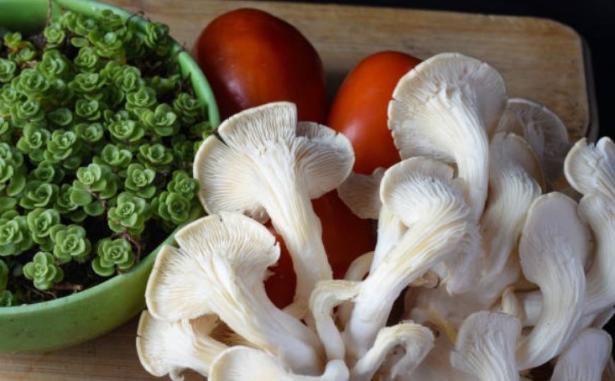 Top 5 Benefits of Oyster Mushrooms