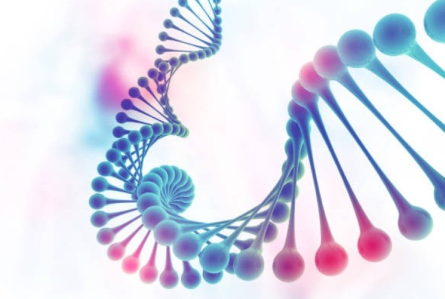 The Importance of DNA in Our Lives