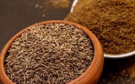 Cumin Seeds: A Delicious and Nutritious Spice with 5 Key Health Benefits