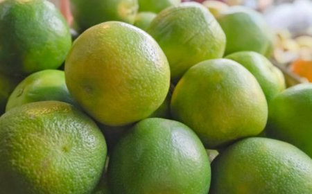 Sweet Lime: A Delicious and Nutritious Fruit with Top 5 Health Benefits