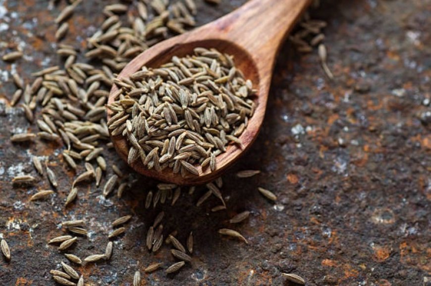 Cumin Seeds: A Delicious and Nutritious Spice with 5 Key Health Benefits