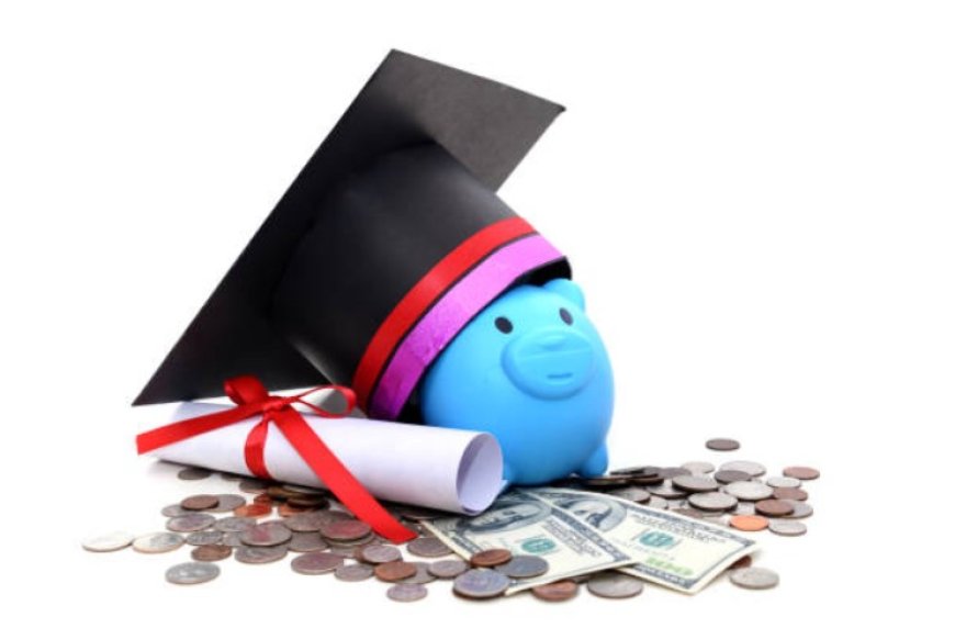 How to apply for the HDFC Educational Crisis Scholarship Scheme: A step-by-step guide